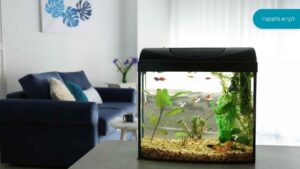 1762159488 E4ef6ea833beef7ae3f1