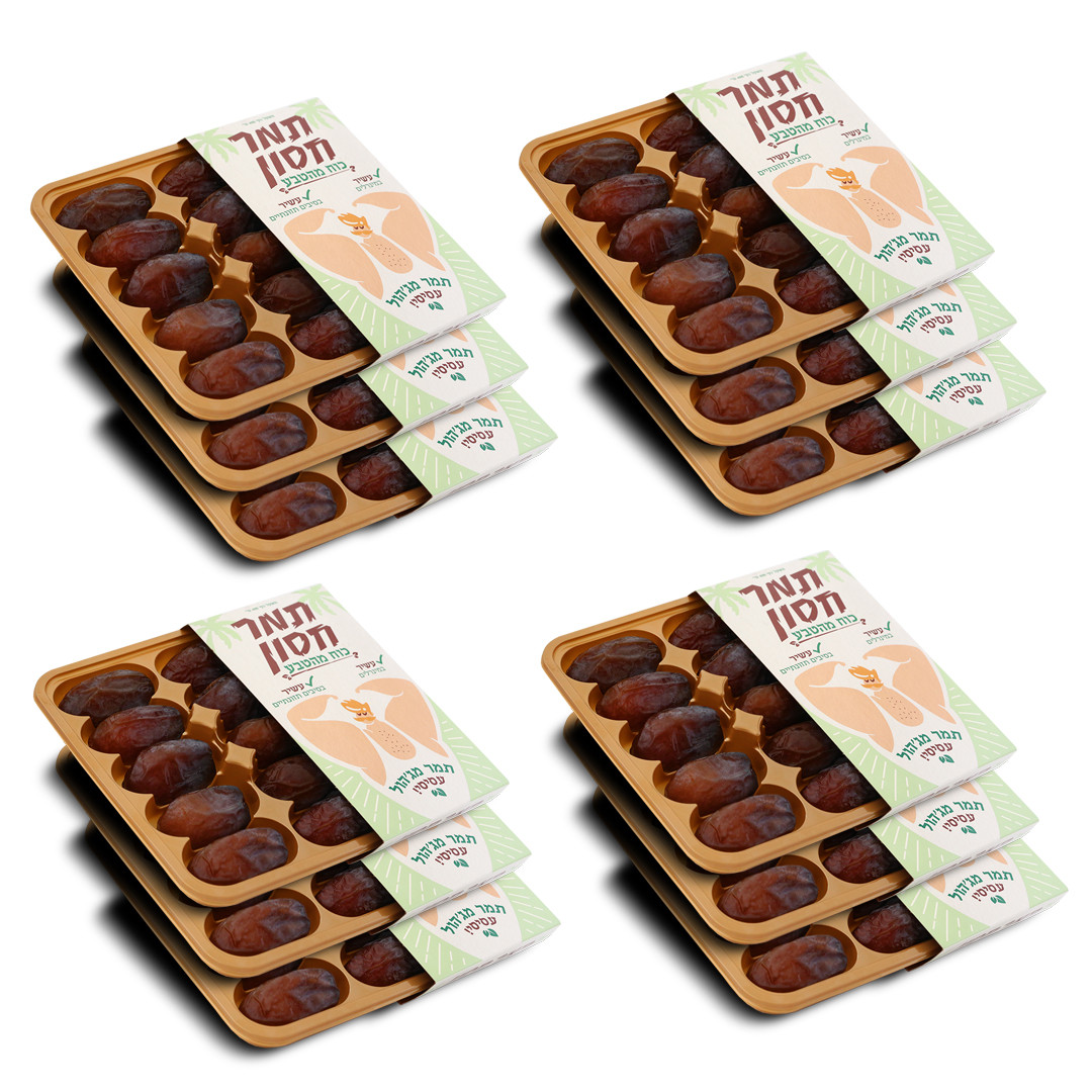 תמר מג'הול עסיסי