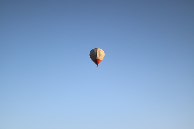Hot Air Balloon 7393437